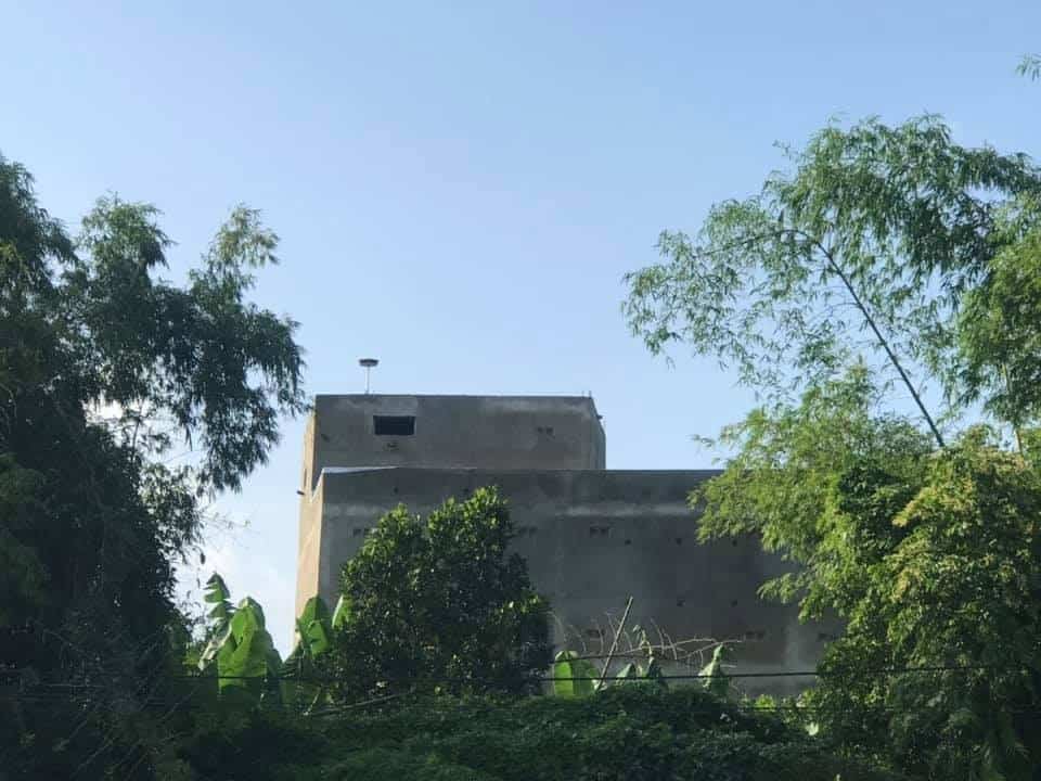 Trồng cây gì xung quanh nhà yến