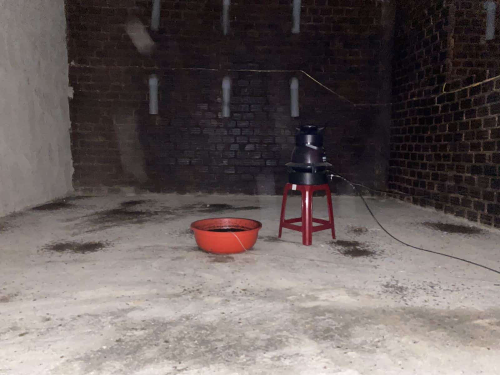 Xử lý mốc trong nhà yến