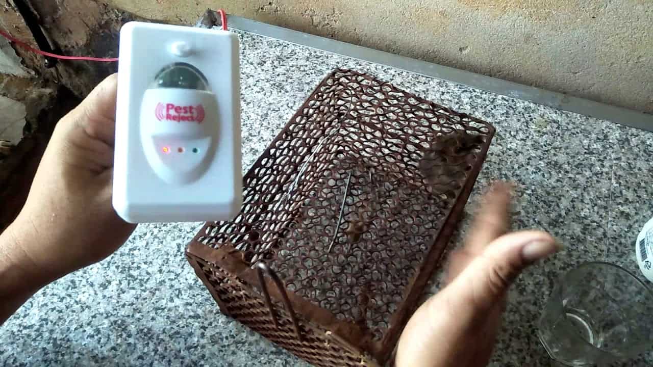 máy phát sóng âm