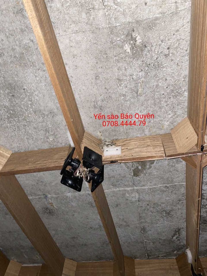 nhà yến thành công tại Đà Nẵng