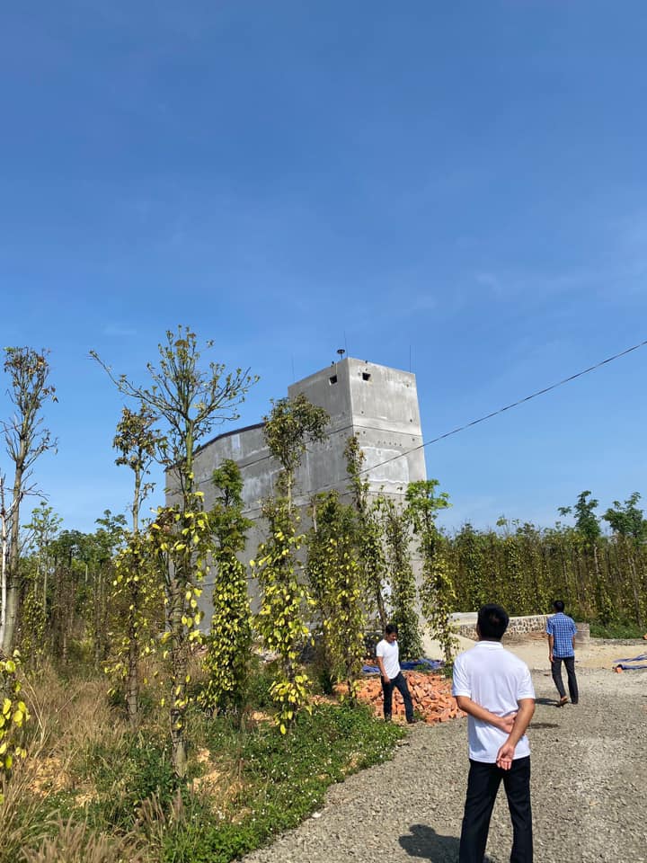 bảo trì nhà yến Dakmil