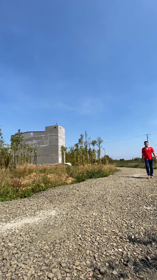 sữa nhà yến Dak Nông