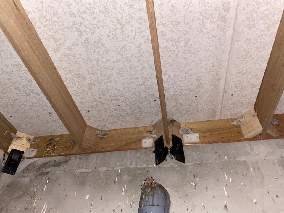 xây nhà nuôi yến tại Huế