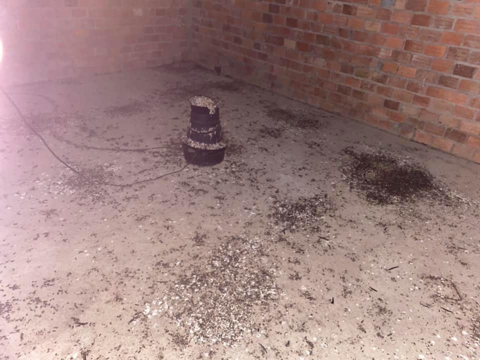 xây dựng nhà yến Quảng Nam